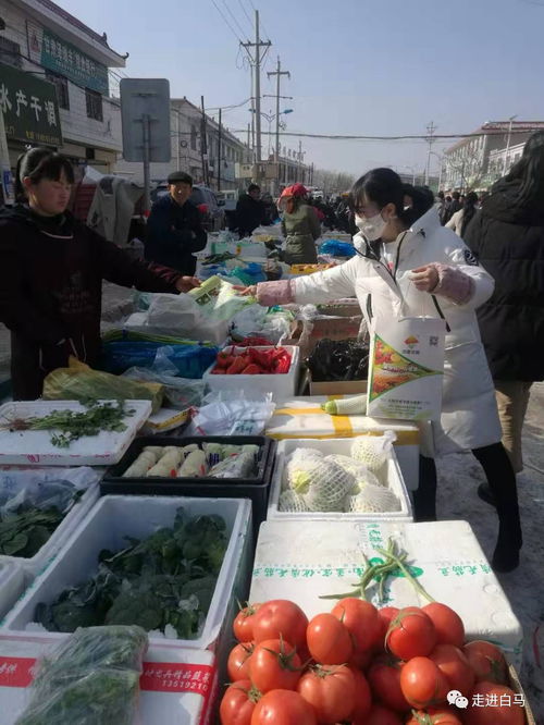 白馬鋪鎮(zhèn)多措并舉，全力保障春節(jié)期間農(nóng)產(chǎn)品質(zhì)量安全